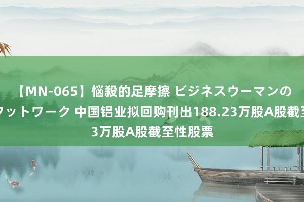 【MN-065】悩殺的足摩擦 ビジネスウーマンの淫らなフットワーク 中国铝业拟回购刊出188.23万股A股截至性股票