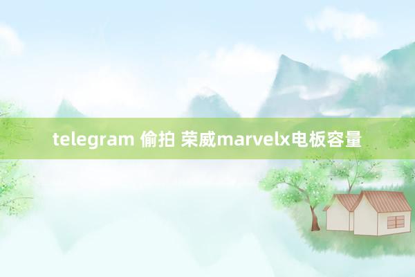 telegram 偷拍 荣威marvelx电板容量